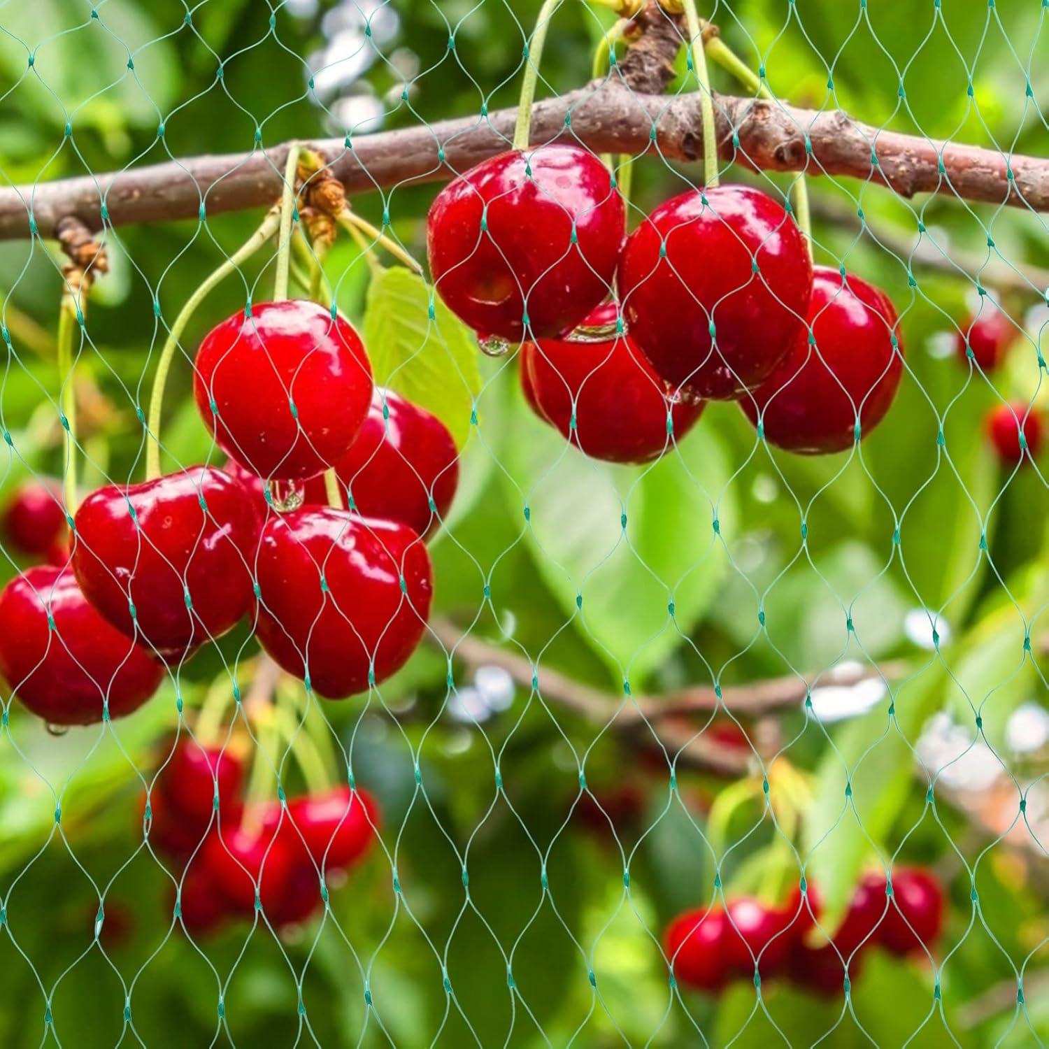 BowLift | Protective net for garden plants – Green net against pests and animals