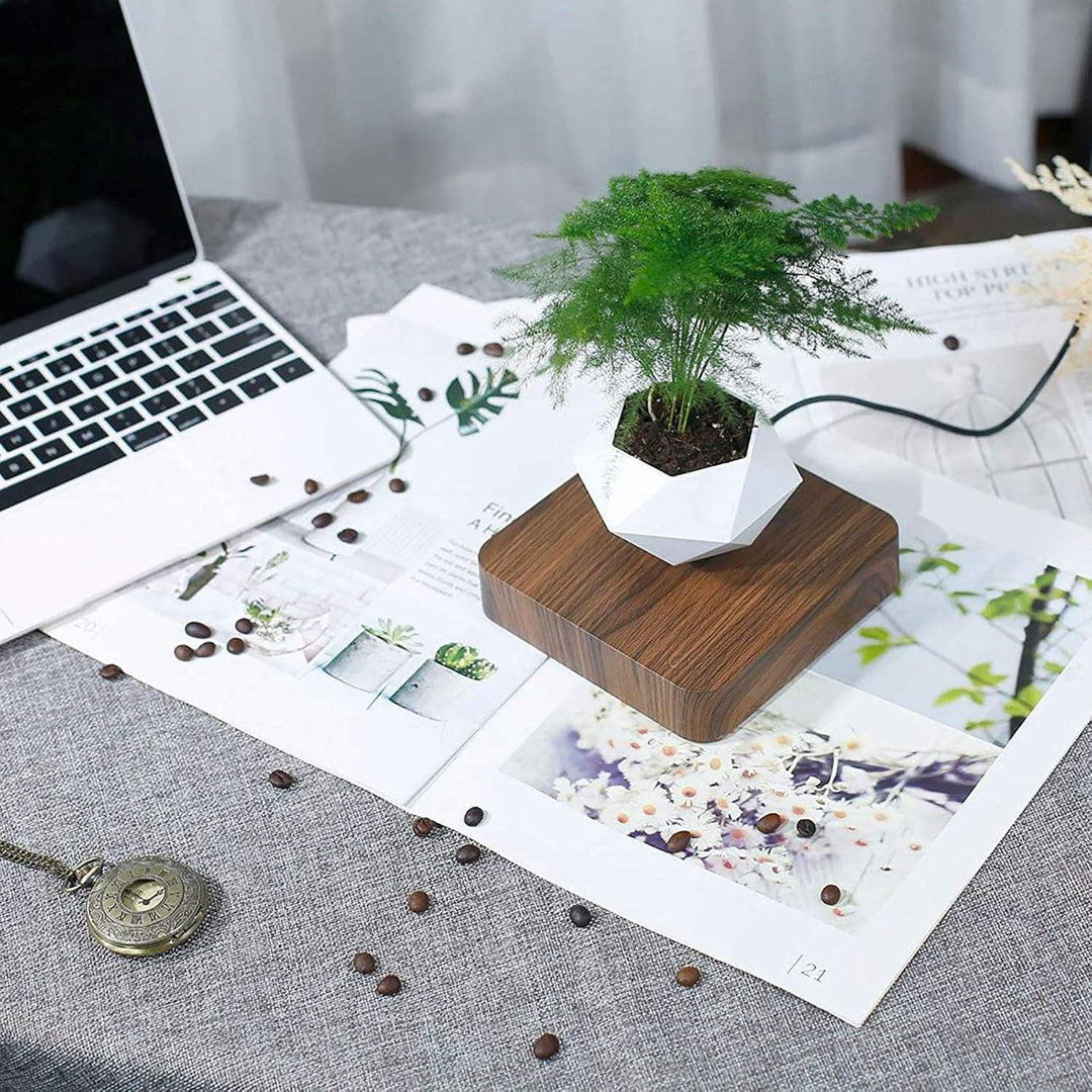 BowLift | Levitating Plant Pot – Magnetic Floating Planter