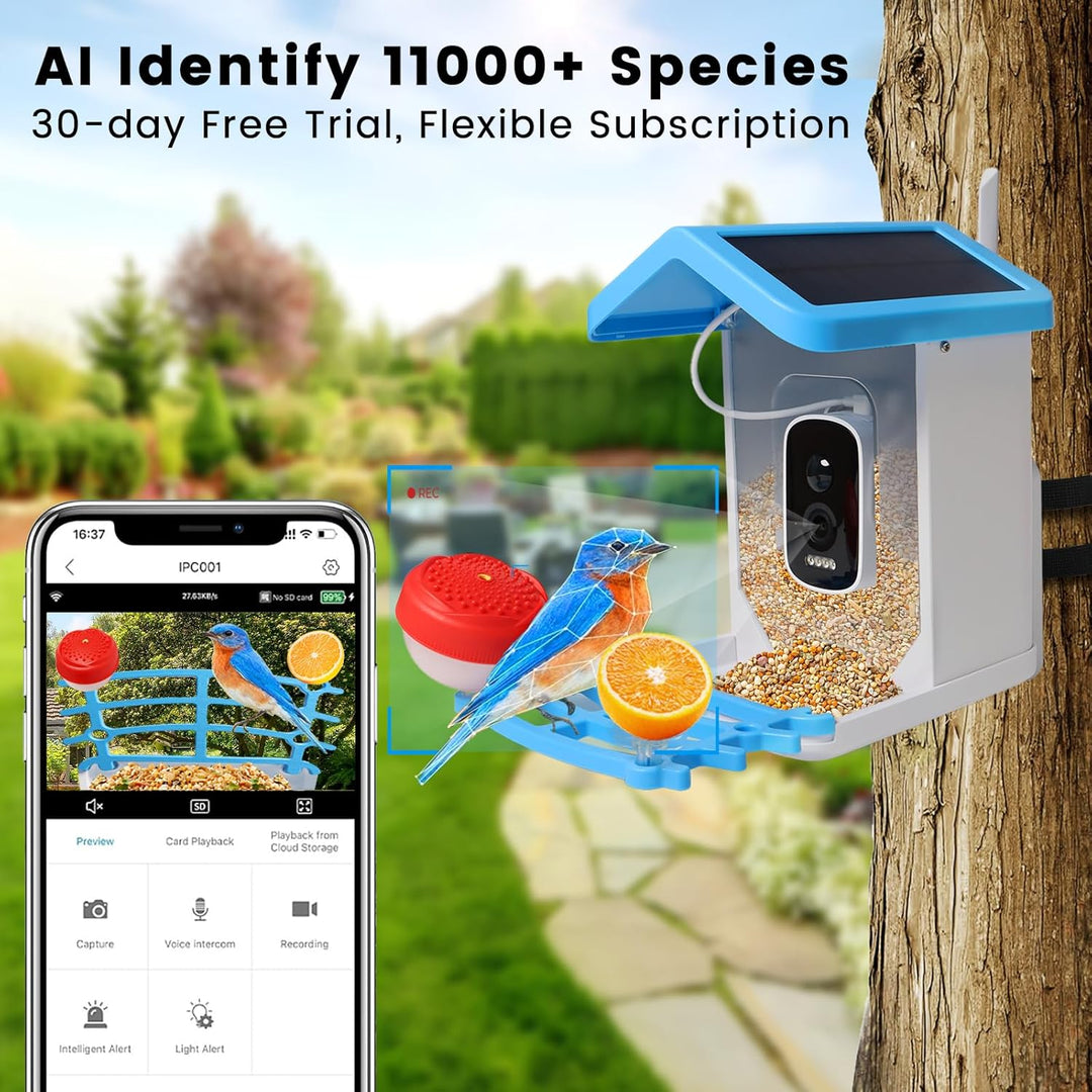 Smart Bird Feeder with Solar Camera – AI Bird Recognition & Night Vision | Bowlift