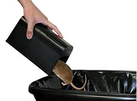 BowLift | Electric Mouse Trap