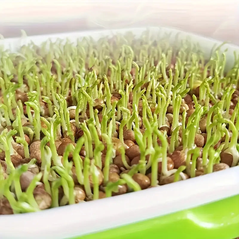 BowLift | Germination trays with lid – Double-layer seed sowing tray for effective seed germination