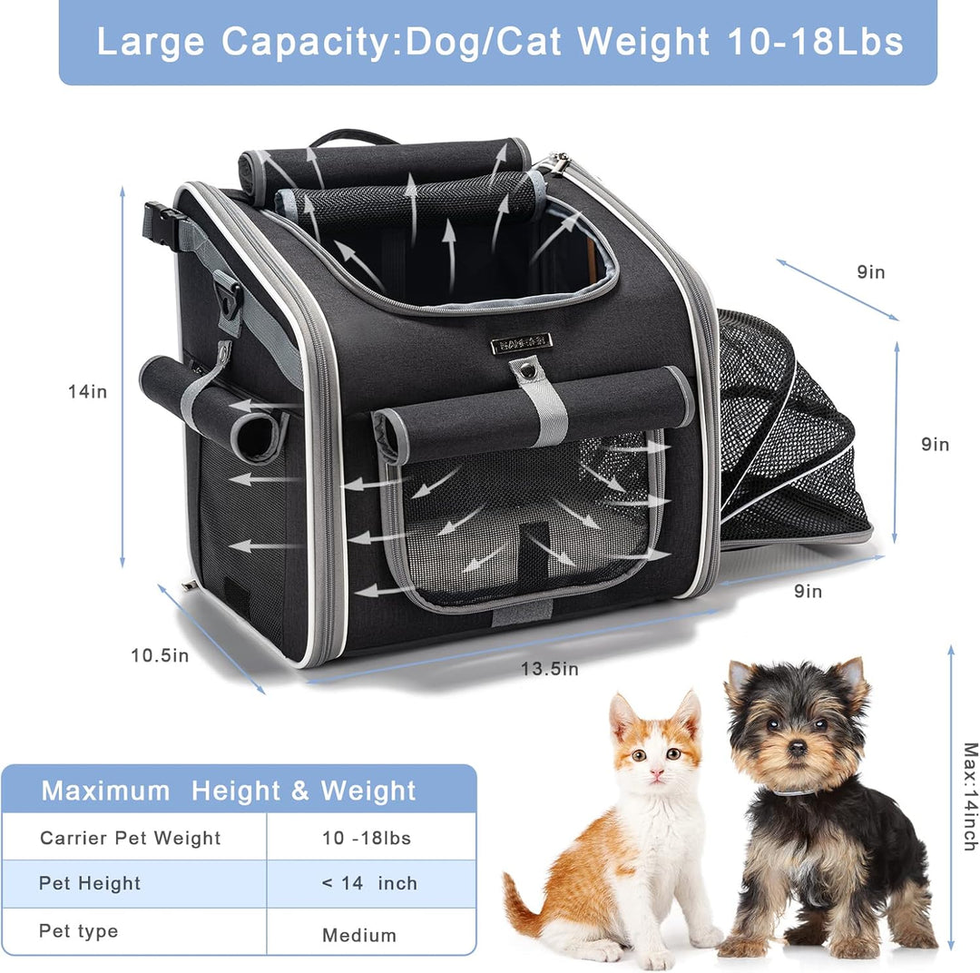 BowLift | Max – Pet Bike Basket for Dogs & Cats