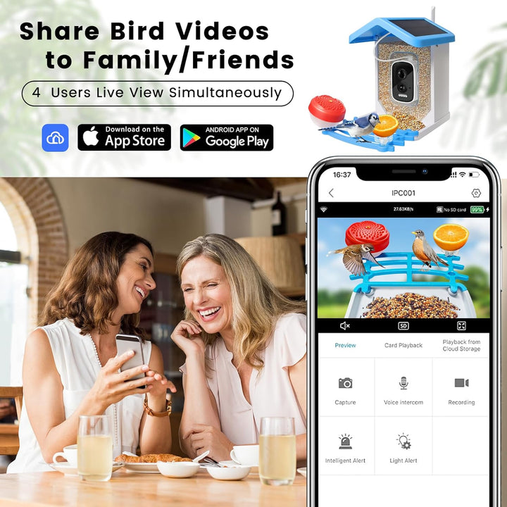Smart Bird Feeder with Solar Camera – AI Bird Recognition & Night Vision | Bowlift