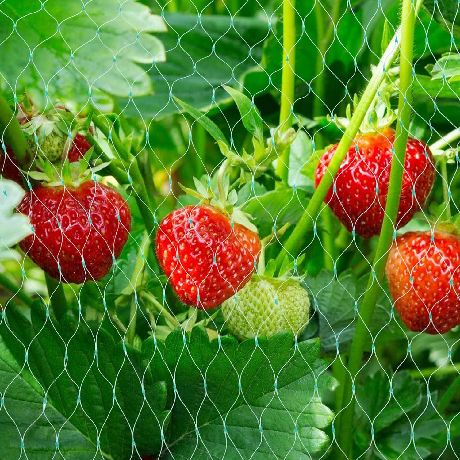 BowLift | Protective net for garden plants – Green net against pests and animals