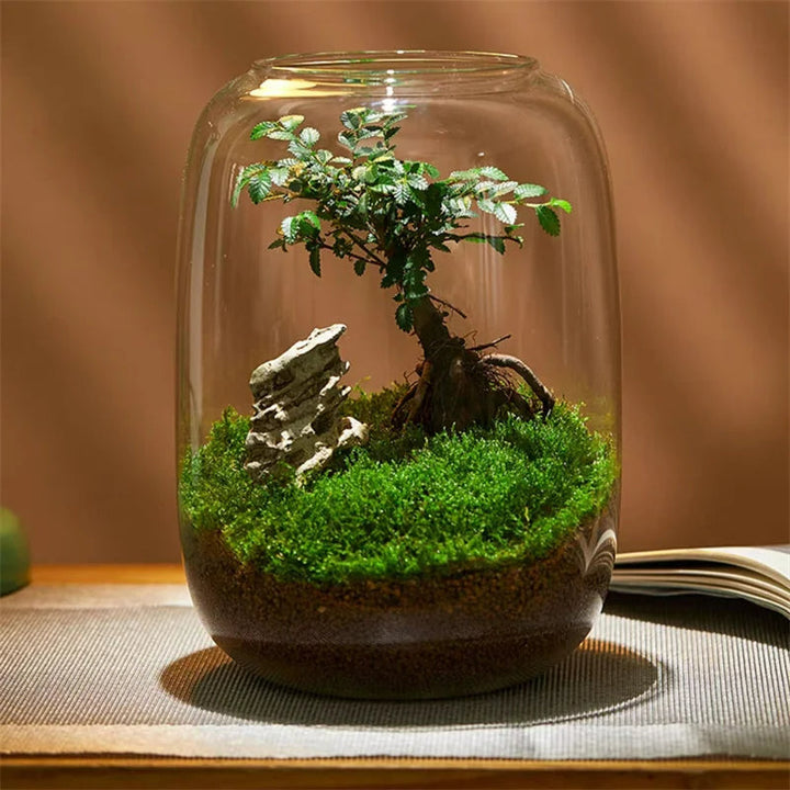 Micro Landscape Green Oasis Glass Vase | Bowlift