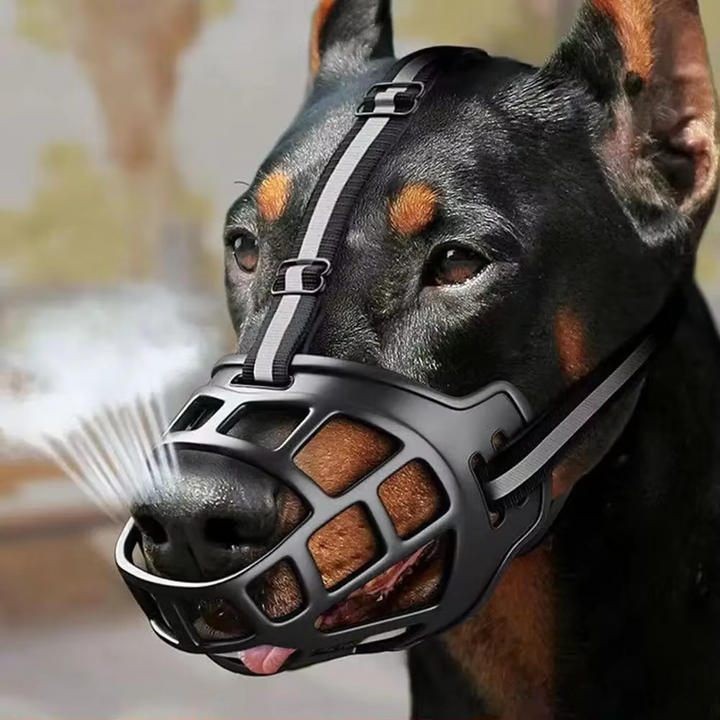 GuardPaw — Finally enjoy every walk worry-free and secure | Bowlift