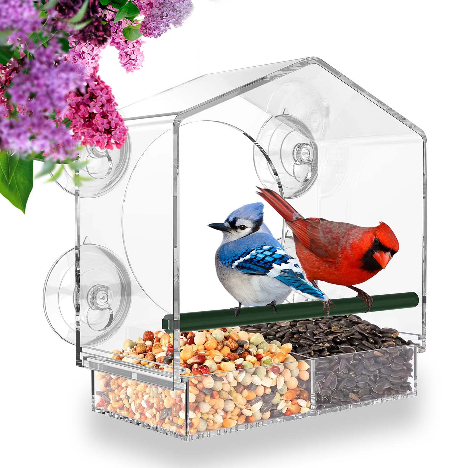 BowLift | Bird feeder in the window for outdoor use