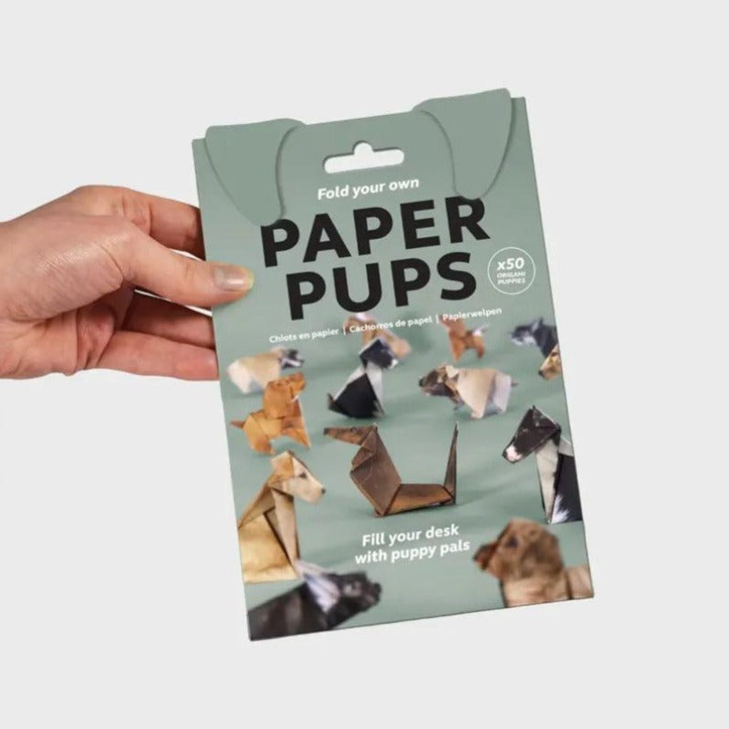 BowLift | 50-Sheet Cat Origami Kit