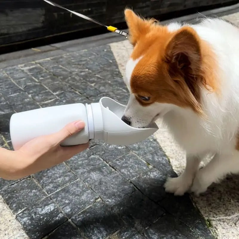 HydraPaw – Foldable Bottle for Animal Adventures Bowlift