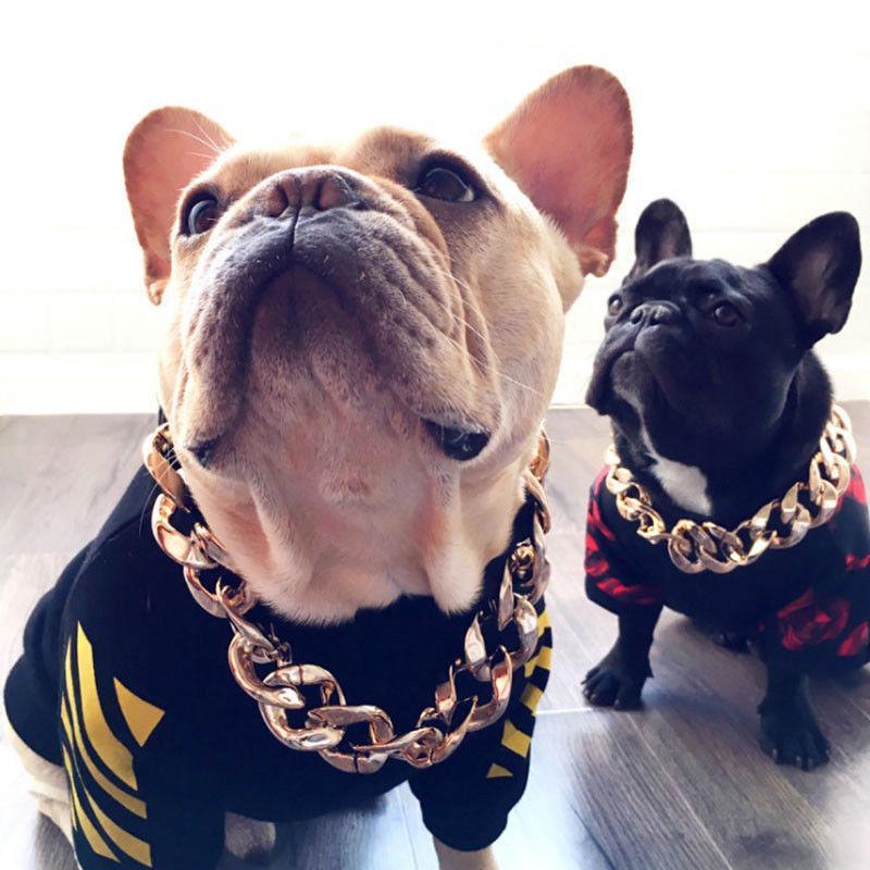 BowLift | Pet Jewelry Thick Gold Chain Collar