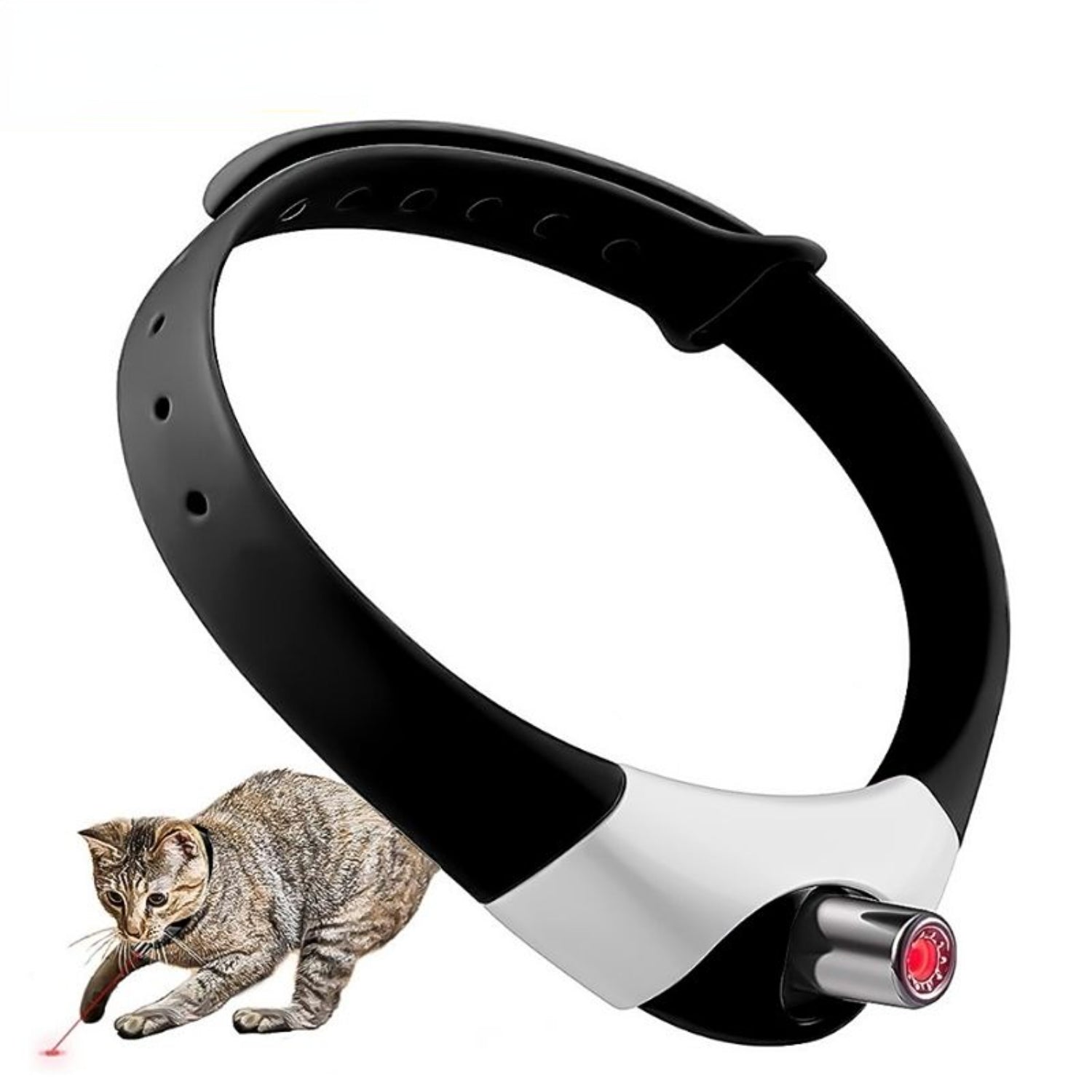 BowLift | PurrCollar™ Engaging Cat Activity