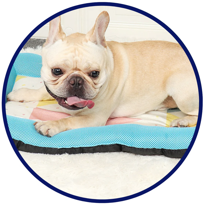 Pet Silk Cooling Mat | Bowlift