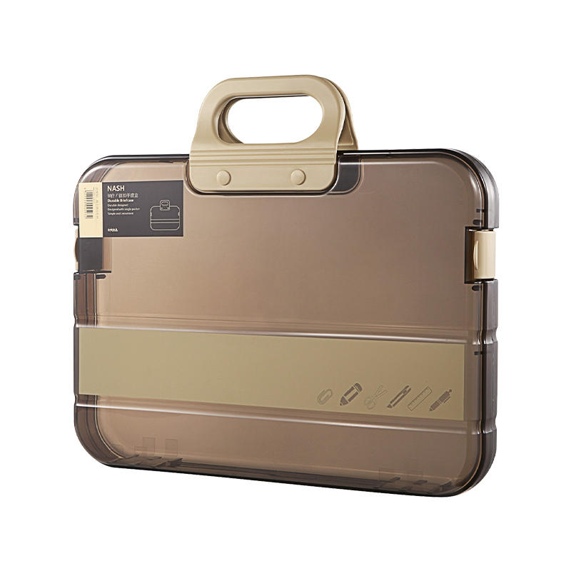 BowLift | Large Capacity Waterproof Transparent File Box