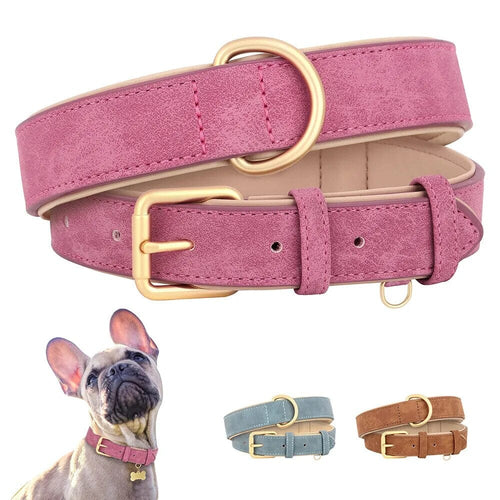 Bowlift Pup Collar
