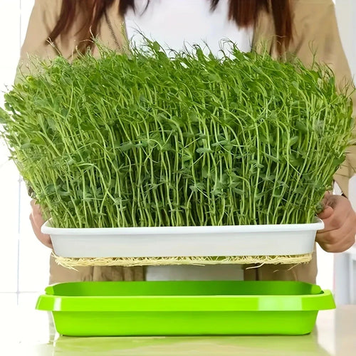 BowLift | Germination trays with lid – Double-layer seed sowing tray for effective seed germination