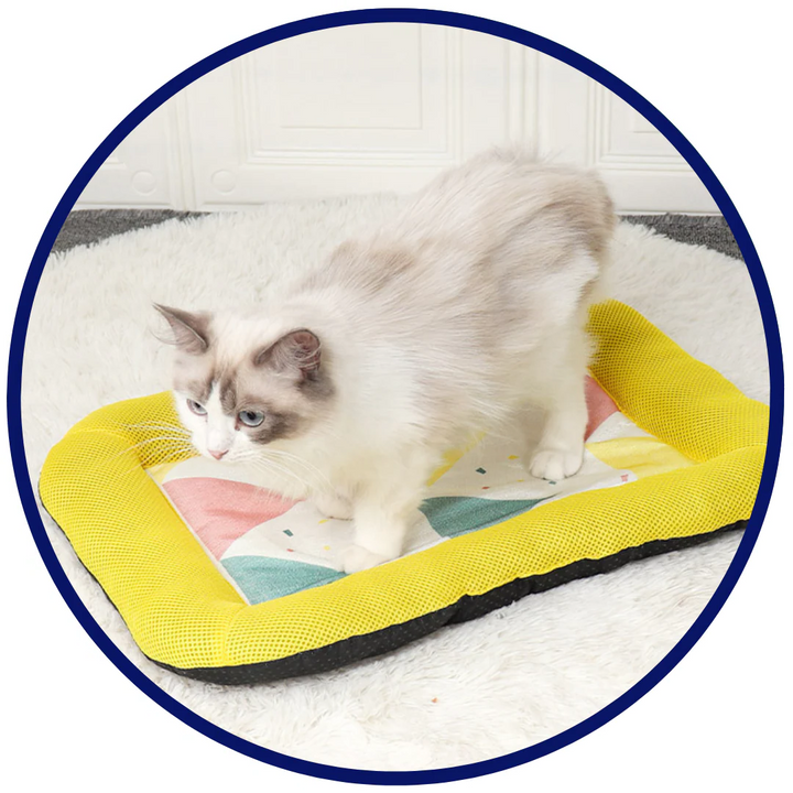 Pet Silk Cooling Mat | Bowlift