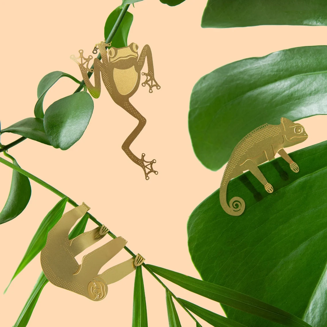 BowLift | Plant Animal Decorations
