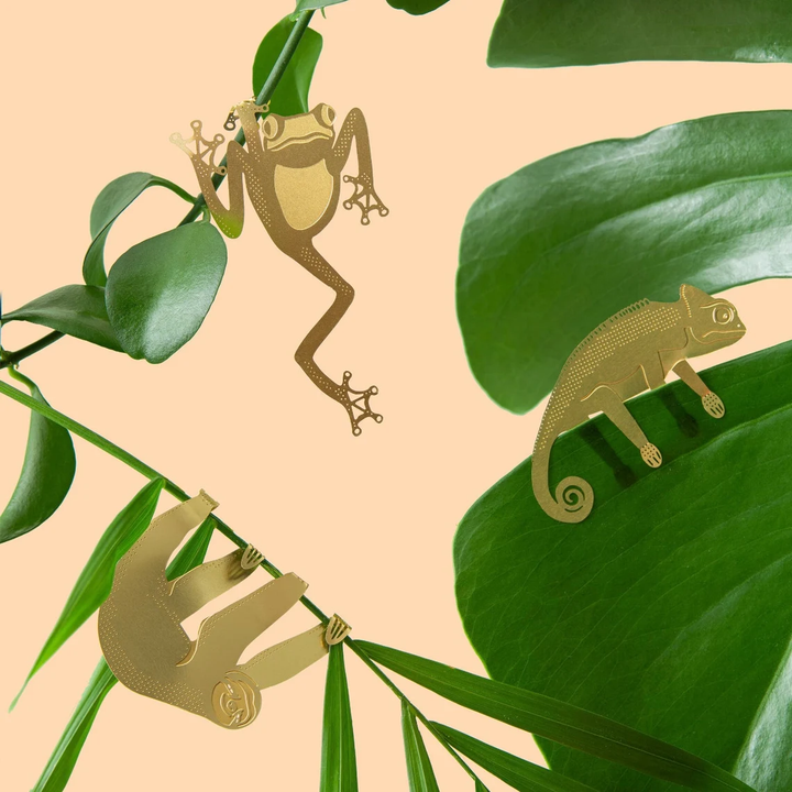 BowLift | Plant Animal Decorations