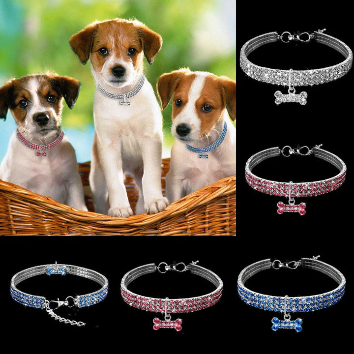 Glamorous Pet Collar – SparkleCollar Bowlift