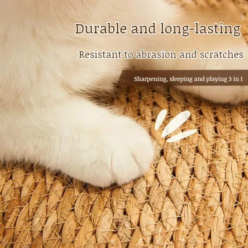 BowLift | KrazeLuxe Matte — Finally peace from scratching chaos and the favorite spot for your cat