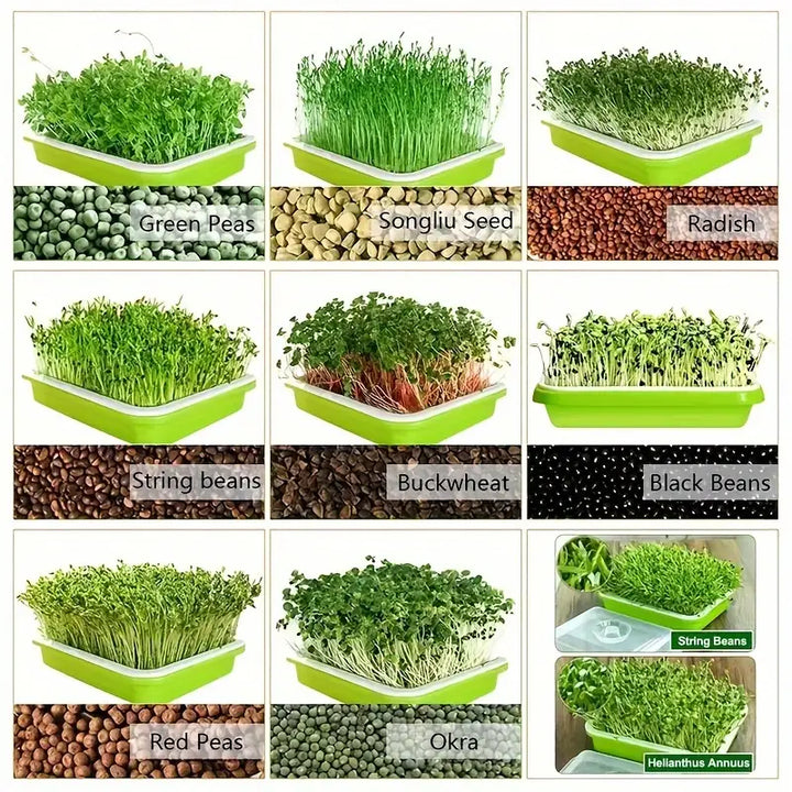 BowLift | Germination trays with lid – Double-layer seed sowing tray for effective seed germination