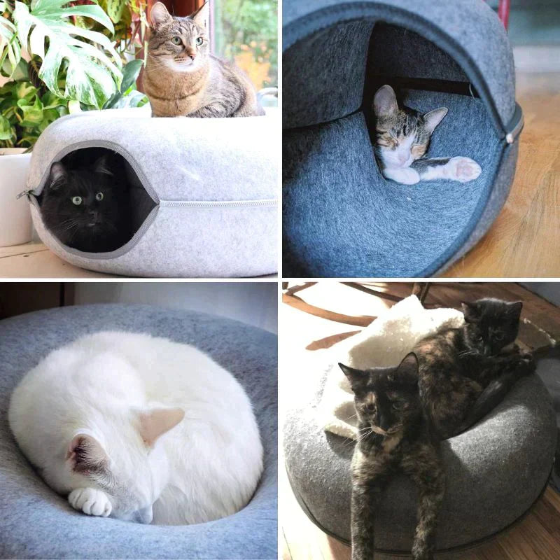 Luxurious Cat Bed and Playhouse – SchnurrNest Bowlift