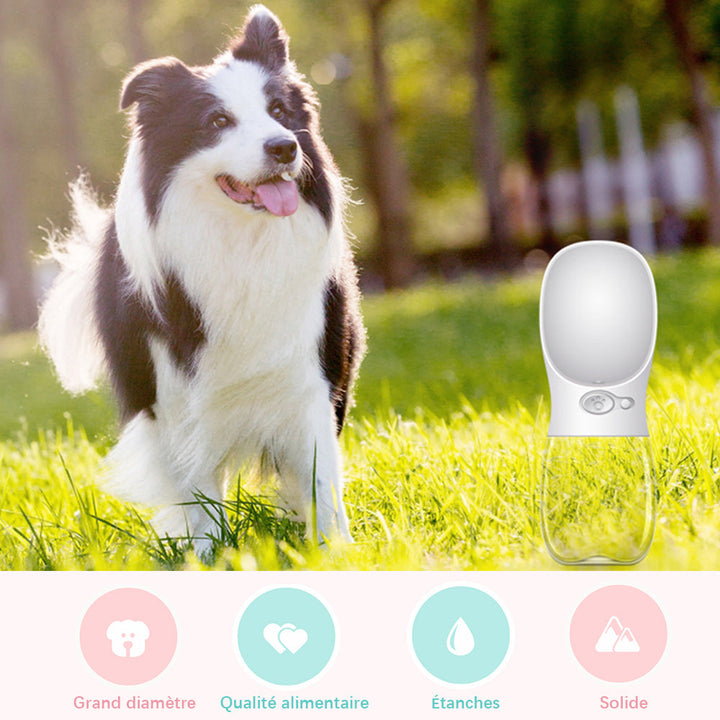 Portable water bottle for pets outdoors | Bowlift