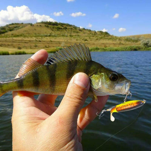 BowLift | Fishing bait with propeller tractor