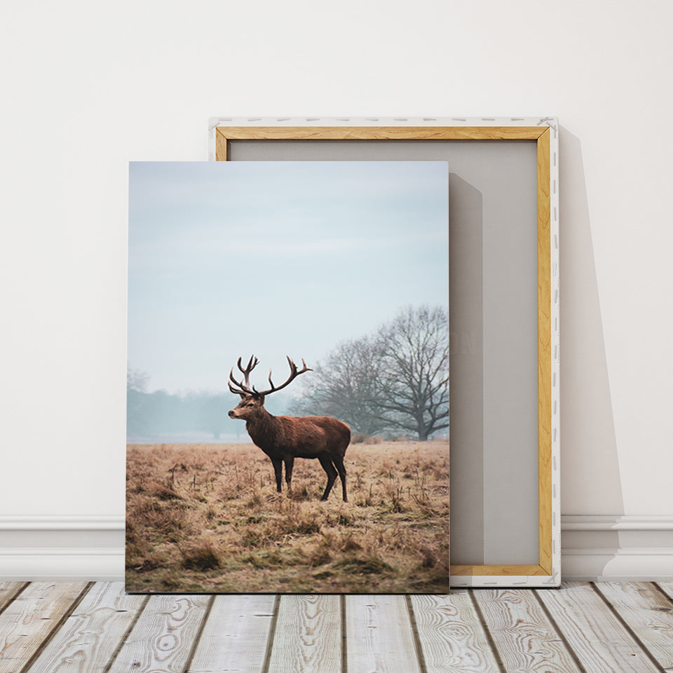 Regal Deer in the Plains - Canvas Wall Art Painting | Bowlift
