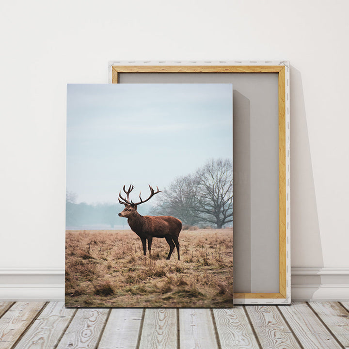 Regal Deer in the Plains - Canvas Wall Art Painting | Bowlift