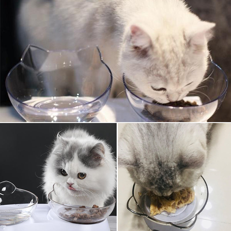 Feeding bowl for cats | Bowlift