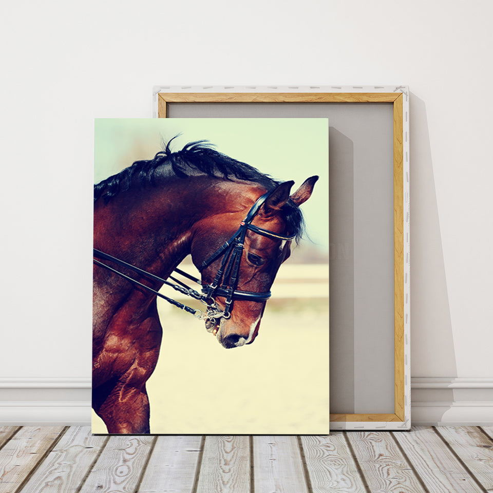 Graceful Haltered Horse - Canvas Wall Art Painting | Bowlift