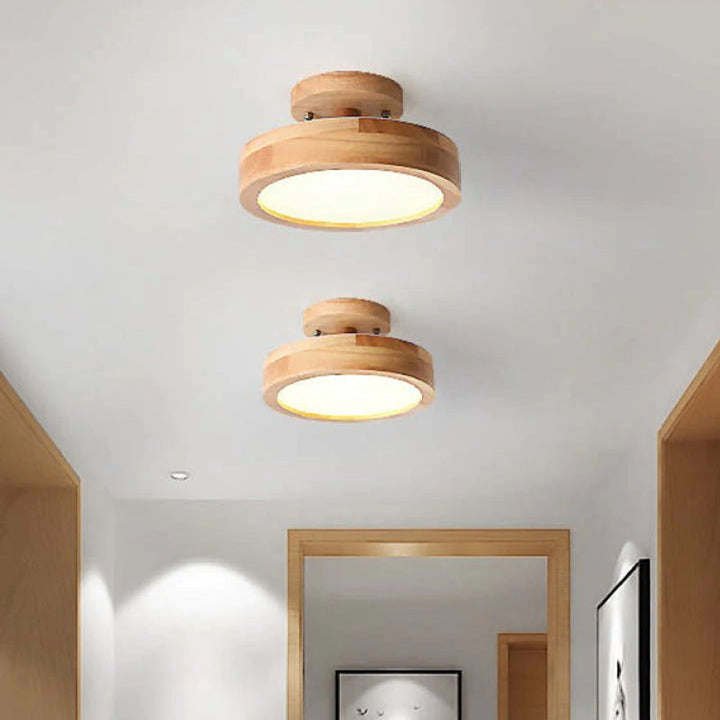 Alaric Modern LED Ceiling Lamp | Bowlift