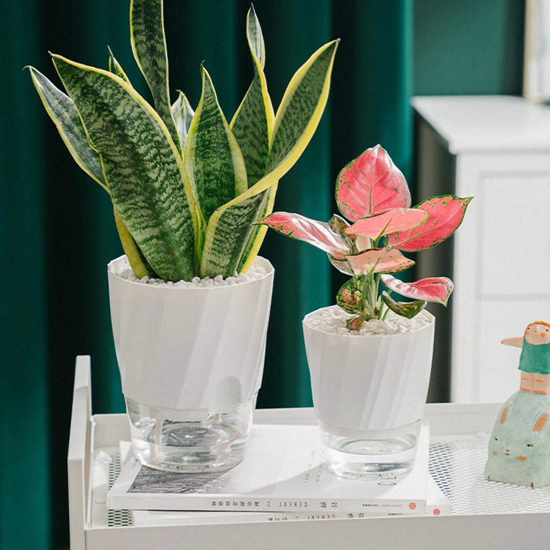 BowLift | Self Watering Planter