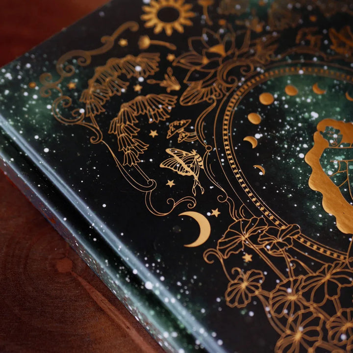 BowLift | Wonderland Journal