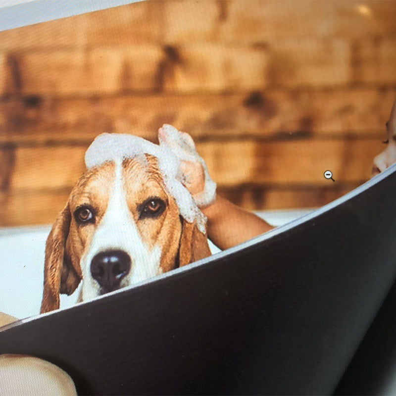 BowLift | Magtech Magnetic Pocket Picture Frame (12 pieces)