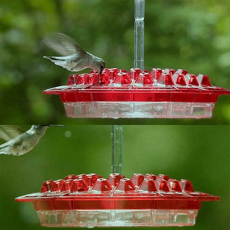 BowLift | New Hummingbird Feeder