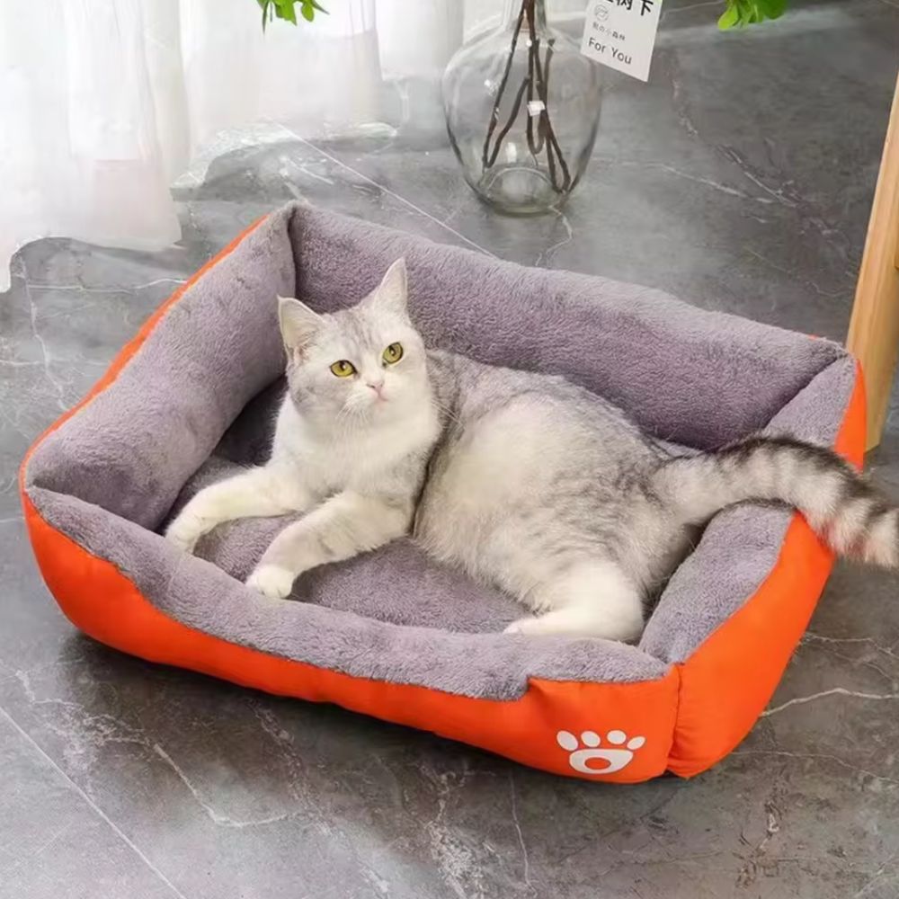 BowLift | Fluff Zone Pet Bed