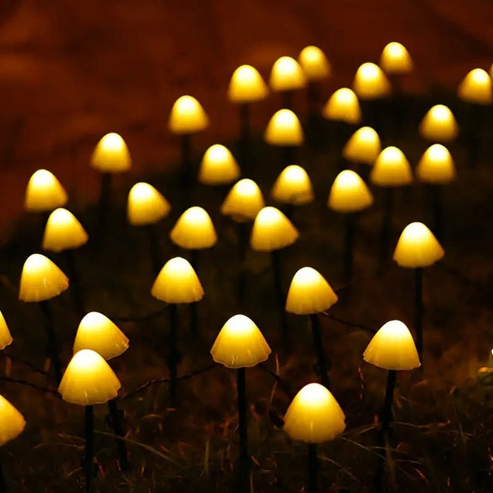 BowLift | LED Solar String Lights Ground Stake Mushroom Lights