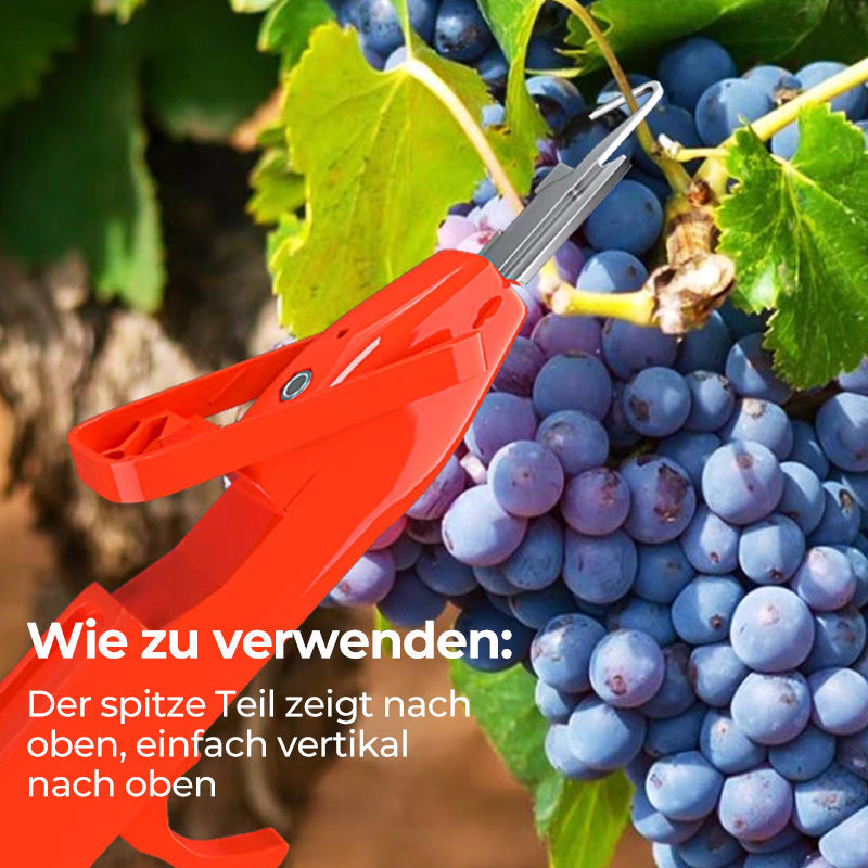Efficient Pepper Picking Tools | Bowlift