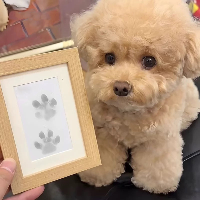 BowLift | DIY Pet Paw Print Memory Frame