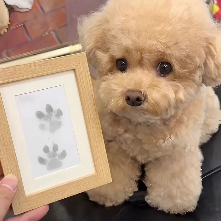 BowLift | DIY Pet Paw Print Memory Frame