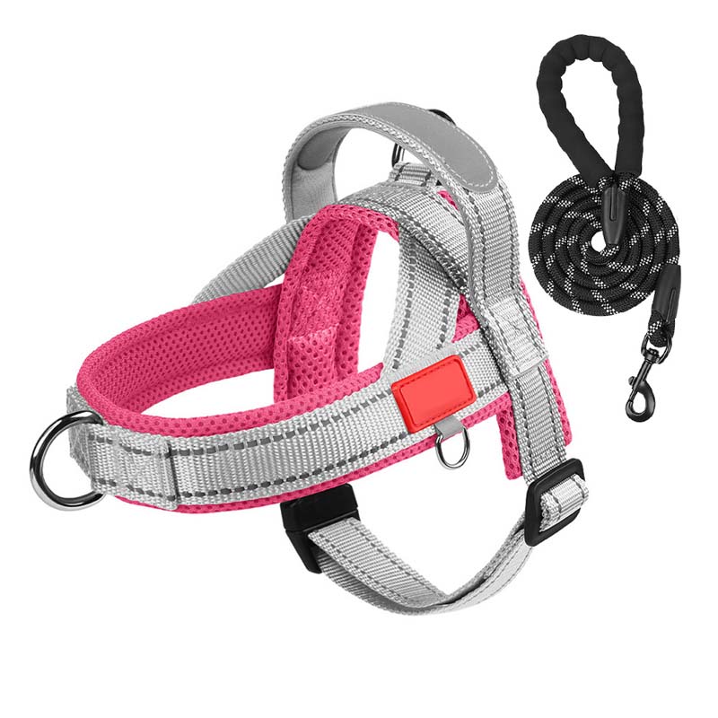 PawEase Comfort Harness — Relaxed Dressing and Unlimited Freedom for Your Dog | Bowlift