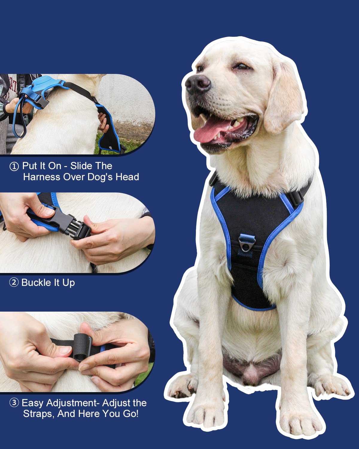 BowLift | mamymarket™ - Dog Harness and Retractable Leash Set All-in-One