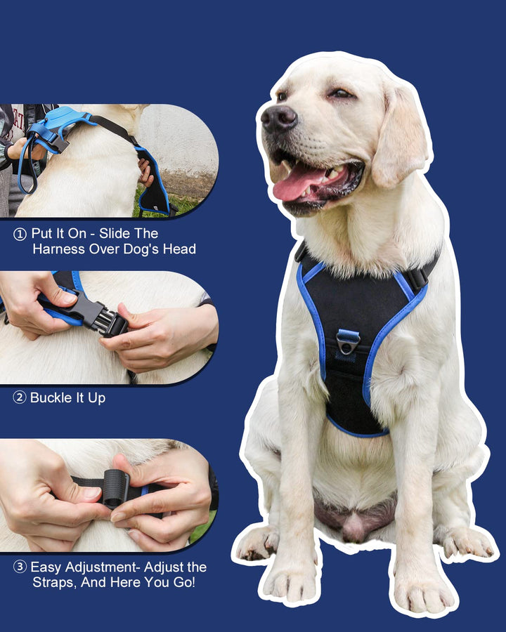 BowLift | mamymarket™ - Dog Harness and Retractable Leash Set All-in-One