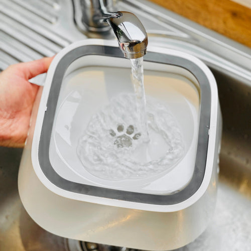 BowLift | Dry Bowl Dog Drinking