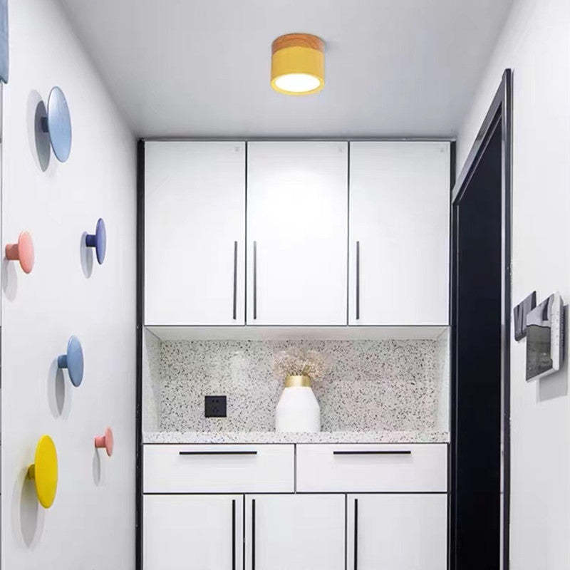 Morandi Style Modern LED Ceiling Lamp - LumiModo | Bowlift