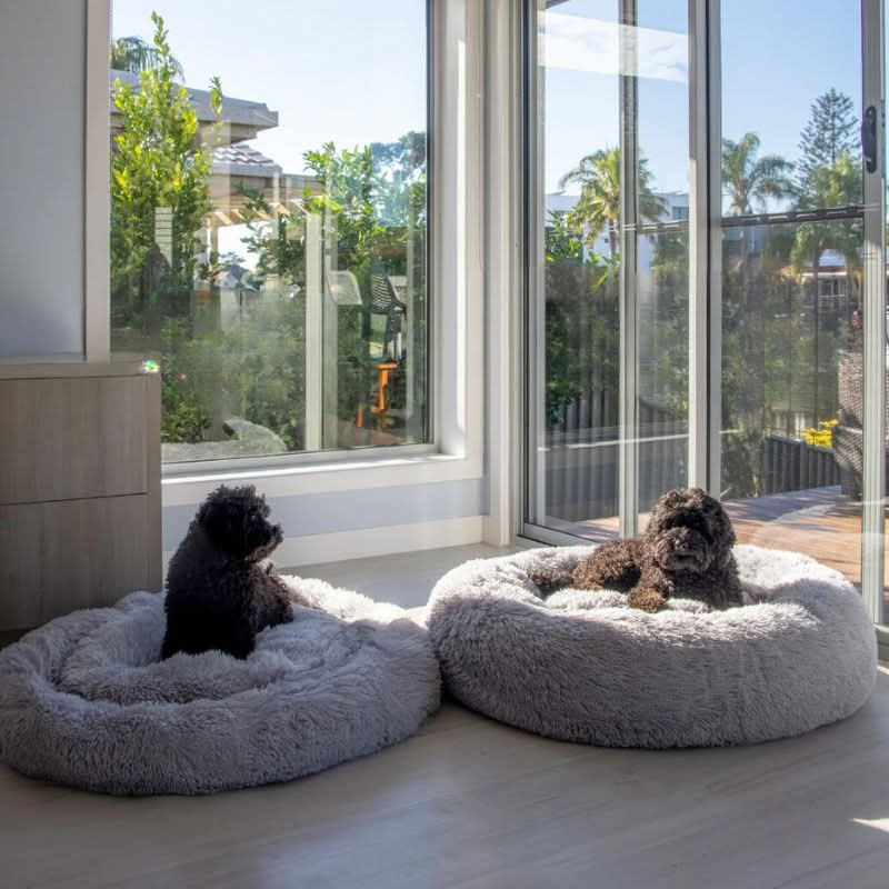 BowLift | PAWLOFT - Calming Pet Bed