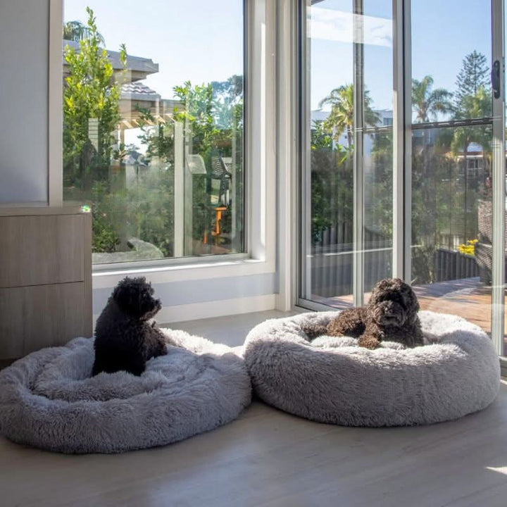 BowLift | PAWLOFT - Calming Pet Bed