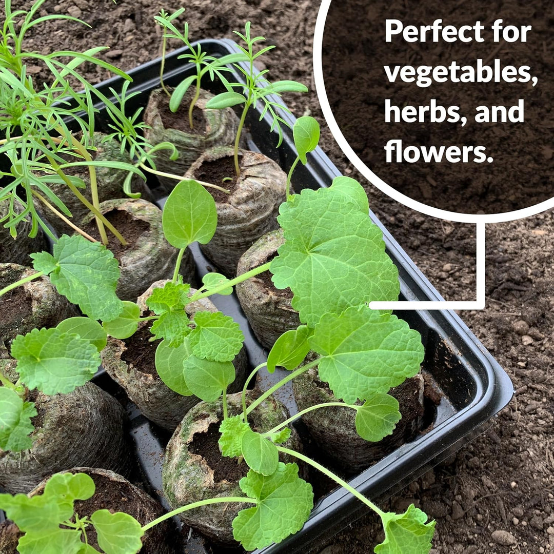 BowLift | Coconut Fiber Peat Seedling Pellets – Starter for Seed Planting